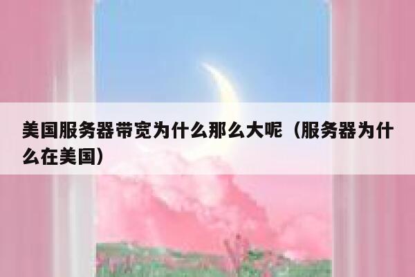 美国服务器带宽为什么那么大呢（服务器为什么在美国） 第1张