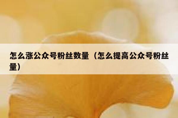 怎么涨公众号粉丝数量(怎么提高公众号粉丝量) 第1张 怎么涨公众号粉丝数量(怎么提高公众号粉丝量) 第1张