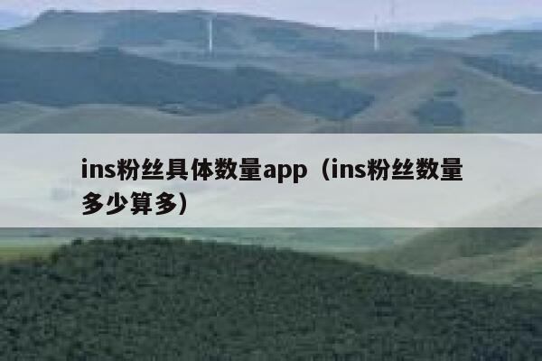 ins粉丝具体数量app(ins粉丝数量多少算多) 第1张 ins粉丝具体数量app(ins粉丝数量多少算多) 第1张