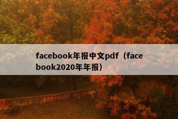 facebook年报中文pdf（facebook2020年年报） 第1张