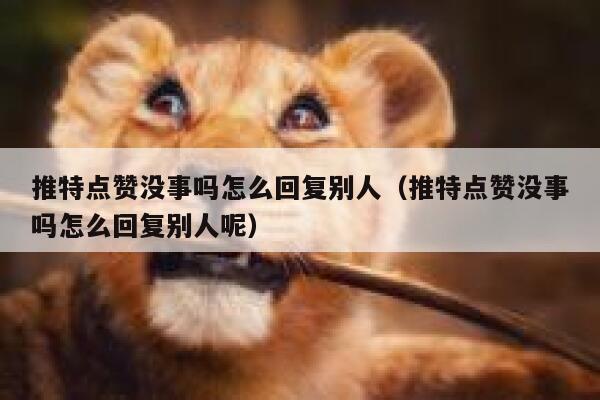 推特点赞没事吗怎么回复别人（推特点赞没事吗怎么回复别人呢） 第1张