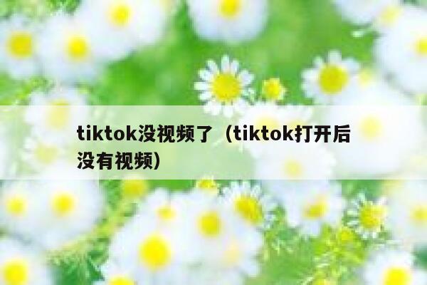 tiktok没视频了（tiktok打开后没有视频） 第1张