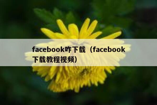 facebook咋下载（facebook下载教程视频） 第1张