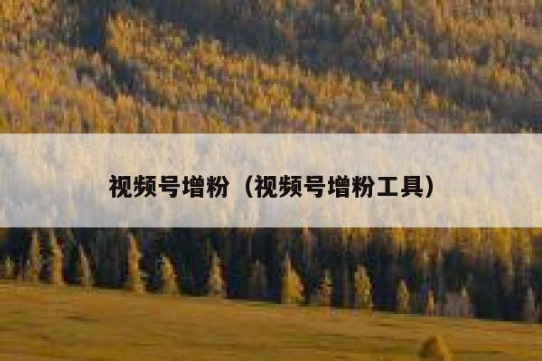 视频号增粉(视频号增粉工具) 第1张 视频号增粉(视频号增粉工具) 第1张