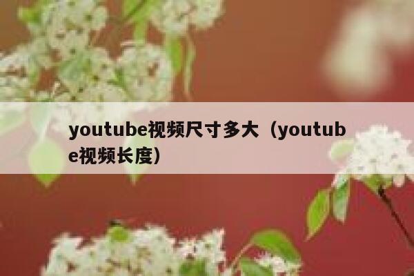 youtube视频尺寸多大(youtube视频长度) 第1张 youtube视频尺寸多大(youtube视频长度) 第1张