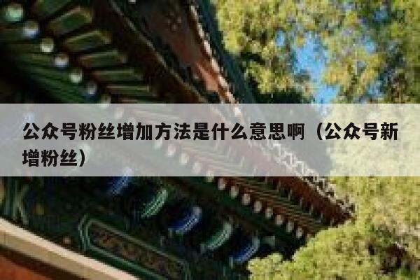公众号粉丝增加方法是什么意思啊(公众号新增粉丝) 第1张 公众号粉丝增加方法是什么意思啊(公众号新增粉丝) 第1张