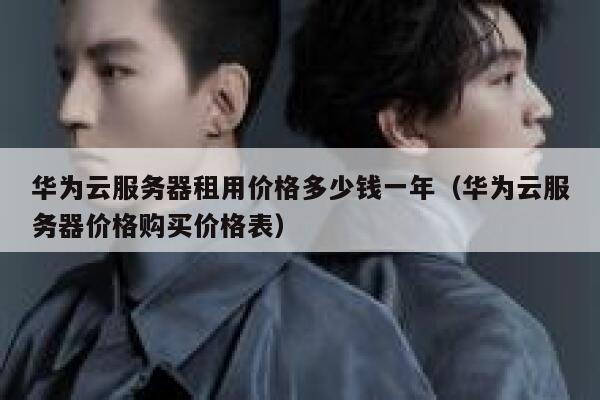 华为云服务器租用价格多少钱一年（华为云服务器价格购买价格表） 第1张