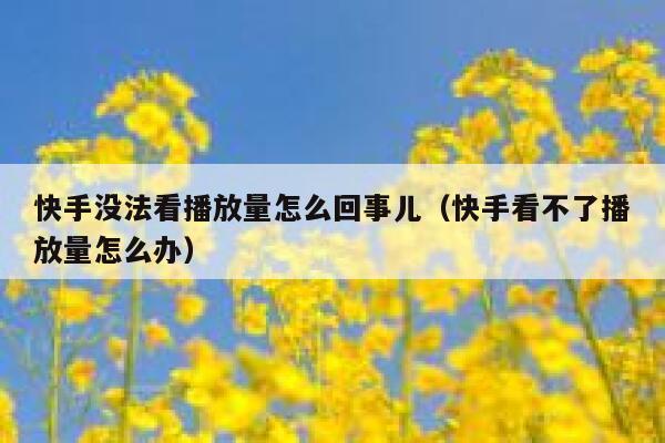 快手没法看播放量怎么回事儿（快手看不了播放量怎么办） 第1张