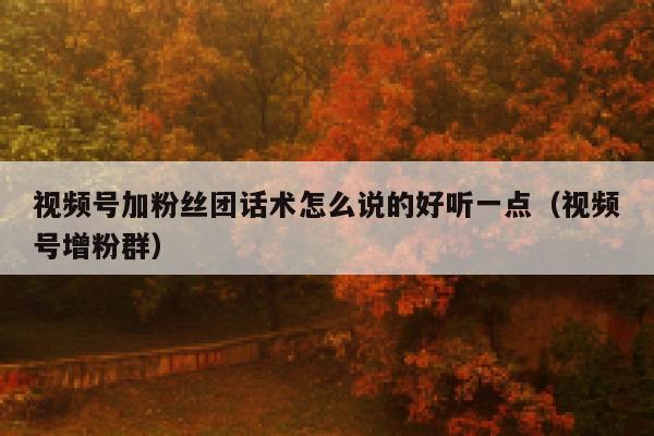 视频号加粉丝团话术怎么说的好听一点（视频号增粉群） 第1张