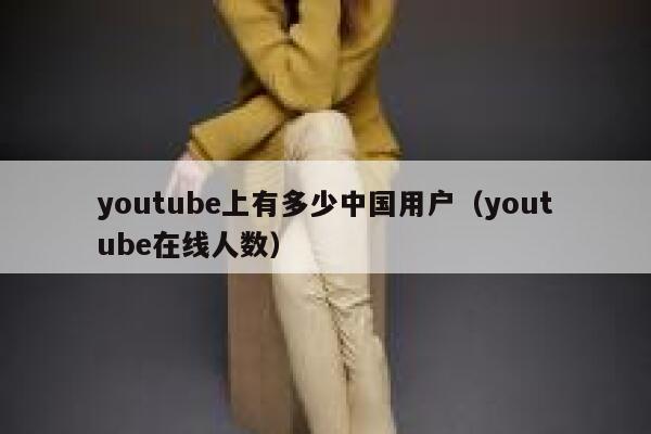 youtube上有多少中国用户（youtube在线人数） 第1张
