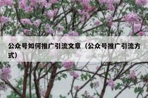 公众号如何推广引流文章（公众号推广引流方式） 第1张