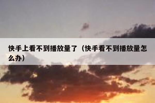 快手上看不到播放量了（快手看不到播放量怎么办） 第1张