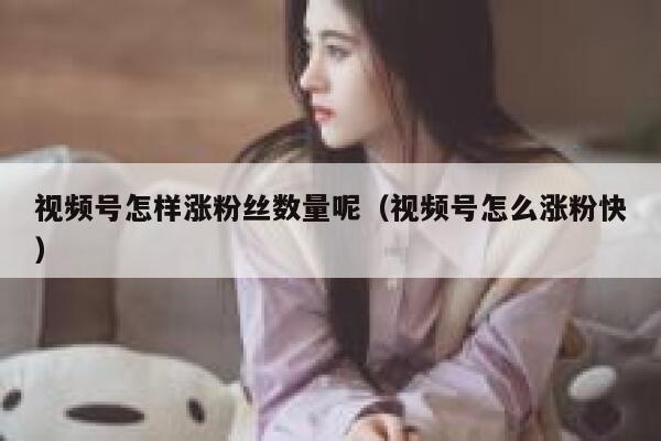 视频号怎样涨粉丝数量呢(视频号怎么涨粉快) 第1张 视频号怎样涨粉丝数量呢(视频号怎么涨粉快) 第1张