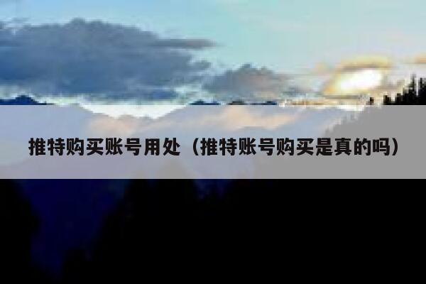 推特购买账号用处(推特账号购买是真的吗) 第1张 推特购买账号用处(推特账号购买是真的吗) 第1张