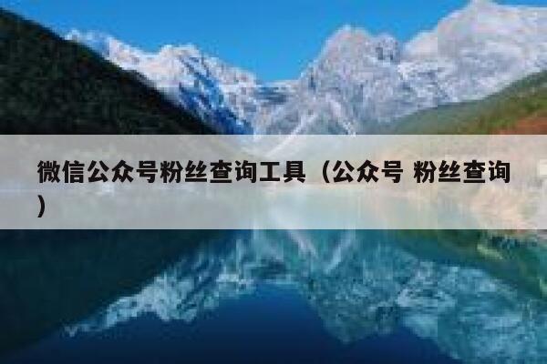 微信公众号粉丝查询工具(公众号 粉丝查询) 第1张 微信公众号粉丝查询工具(公众号 粉丝查询) 第1张