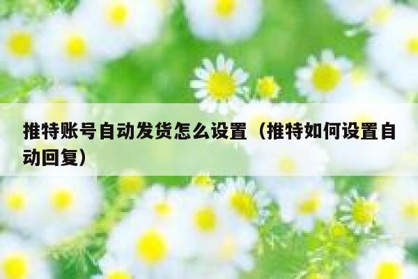 推特账号自动发货怎么设置(推特如何设置自动回复) 第1张 推特账号自动发货怎么设置(推特如何设置自动回复) 第1张