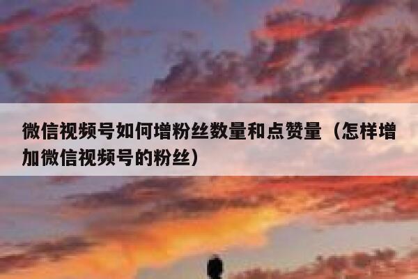 微信视频号如何增粉丝数量和点赞量(怎样增加微信视频号的粉丝) 第1张 微信视频号如何增粉丝数量和点赞量(怎样增加微信视频号的粉丝) 第1张