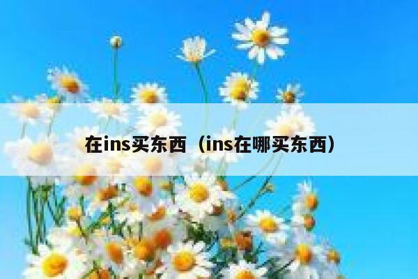 在ins买东西(ins在哪买东西) 第1张 在ins买东西(ins在哪买东西) 第1张
