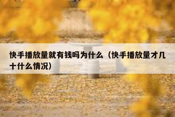 快手播放量就有钱吗为什么(快手播放量才几十什么情况) 第1张 快手播放量就有钱吗为什么(快手播放量才几十什么情况) 第1张
