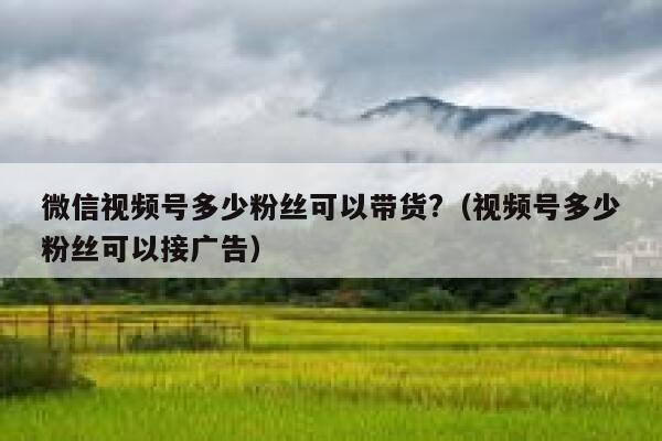 微信视频号多少粉丝可以带货?(视频号多少粉丝可以接广告) 第1张 微信视频号多少粉丝可以带货?(视频号多少粉丝可以接广告) 第1张