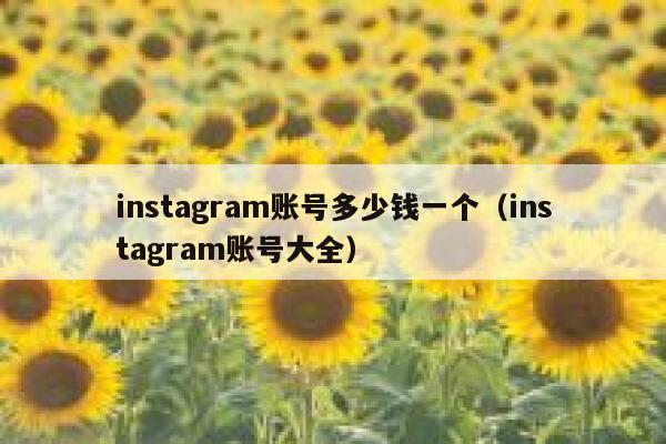 instagram账号多少钱一个(instagram账号大全) 第1张 instagram账号多少钱一个(instagram账号大全) 第1张