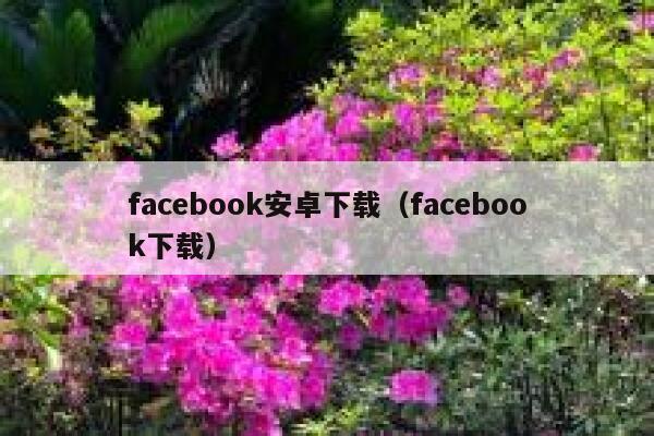 facebook安卓下载(facebook下载) 第1张 facebook安卓下载(facebook下载) 第1张