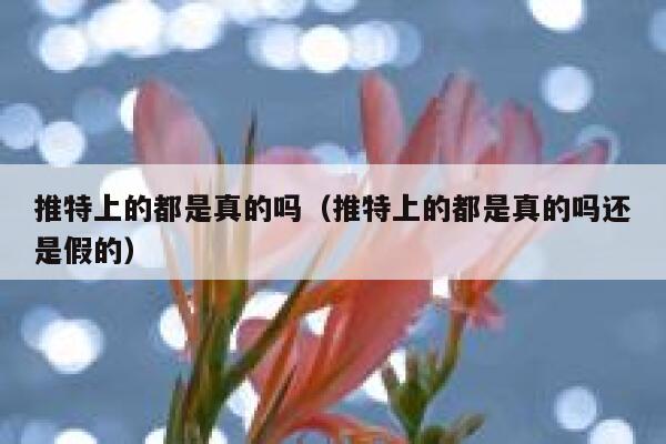 推特上的都是真的吗（推特上的都是真的吗还是假的） 第1张