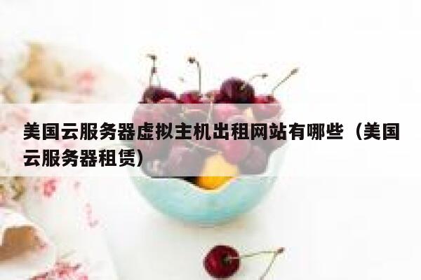美国云服务器虚拟主机出租网站有哪些（美国云服务器租赁） 第1张