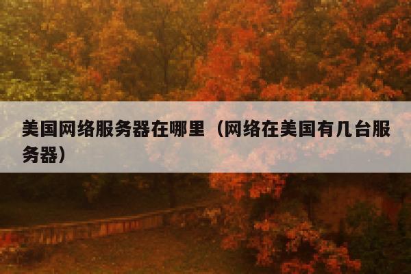 美国网络服务器在哪里（网络在美国有几台服务器） 第1张