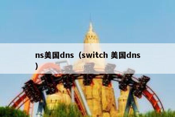 ns美国dns（switch 美国dns） 第1张