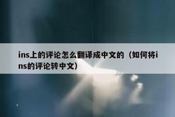 ins上的评论怎么翻译成中文的（如何将ins的评论转中文） 第1张
