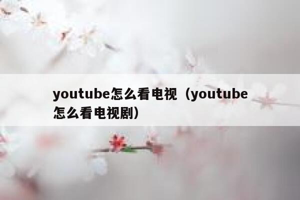 youtube怎么看电视（youtube怎么看电视剧） 第1张