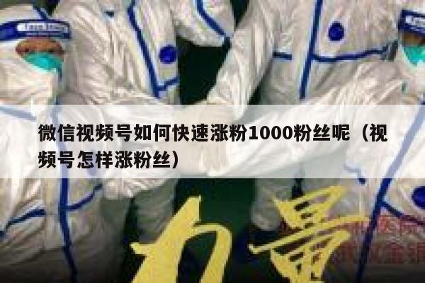 微信视频号如何快速涨粉1000粉丝呢(视频号怎样涨粉丝) 第1张 微信视频号如何快速涨粉1000粉丝呢(视频号怎样涨粉丝) 第1张