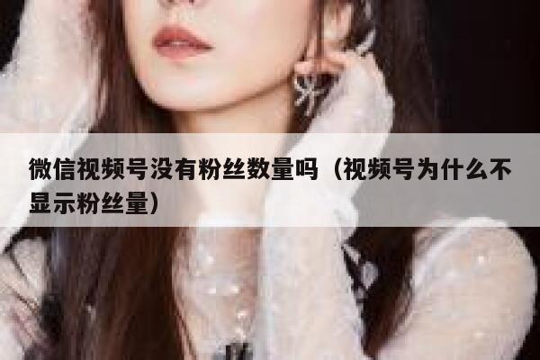 微信视频号没有粉丝数量吗（视频号为什么不显示粉丝量） 第1张