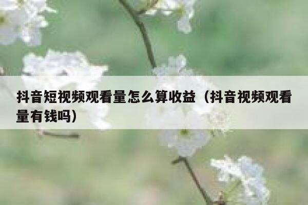 抖音短视频观看量怎么算收益(抖音视频观看量有钱吗) 第1张 抖音短视频观看量怎么算收益(抖音视频观看量有钱吗) 第1张