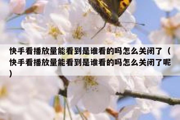 快手看播放量能看到是谁看的吗怎么关闭了（快手看播放量能看到是谁看的吗怎么关闭了呢） 第1张