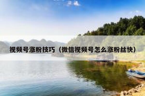 视频号涨粉技巧(微信视频号怎么涨粉丝快) 第1张 视频号涨粉技巧(微信视频号怎么涨粉丝快) 第1张