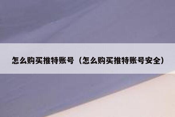 怎么购买推特账号（怎么购买推特账号安全） 第1张