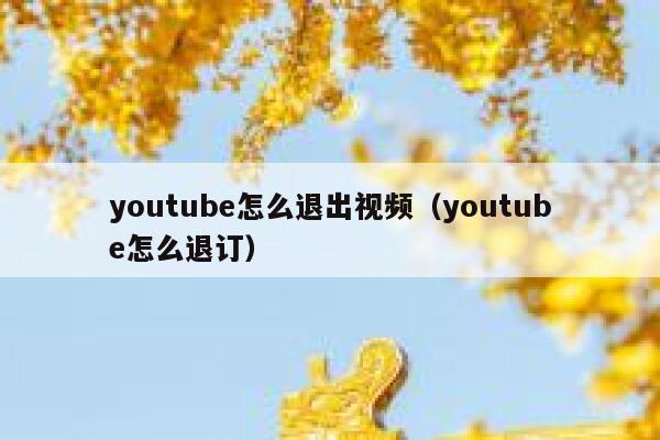 youtube怎么退出视频（youtube怎么退订） 第1张