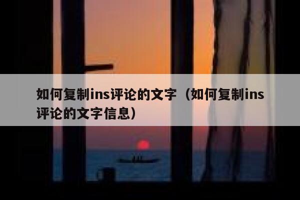 如何复制ins评论的文字（如何复制ins评论的文字信息） 第1张