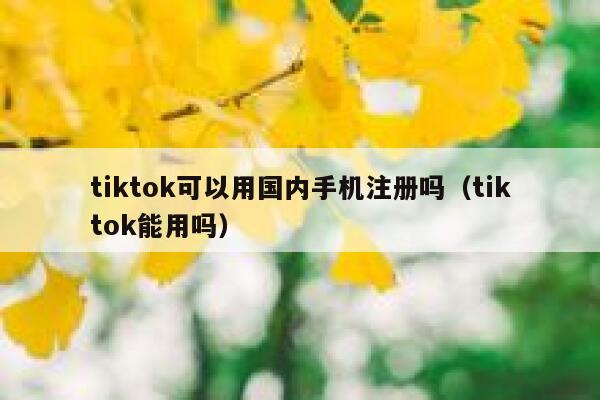 tiktok可以用国内手机注册吗（tiktok能用吗） 第1张