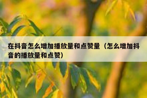 在抖音怎么增加播放量和点赞量（怎么增加抖音的播放量和点赞） 第1张