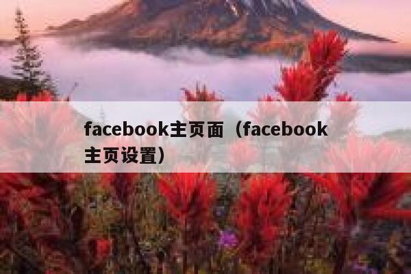 facebook主页面（facebook主页设置） 第1张