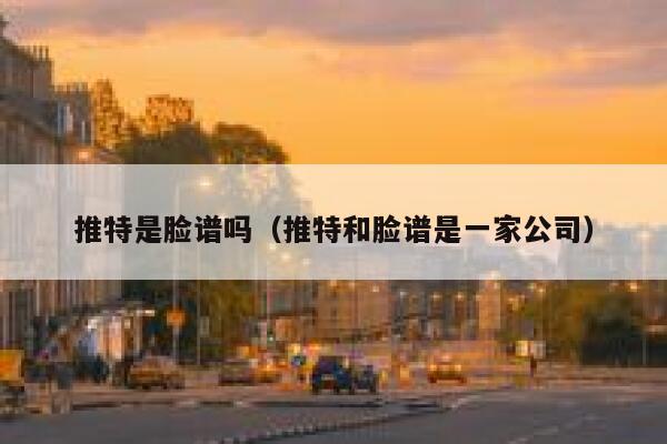 推特是脸谱吗（推特和脸谱是一家公司） 第1张