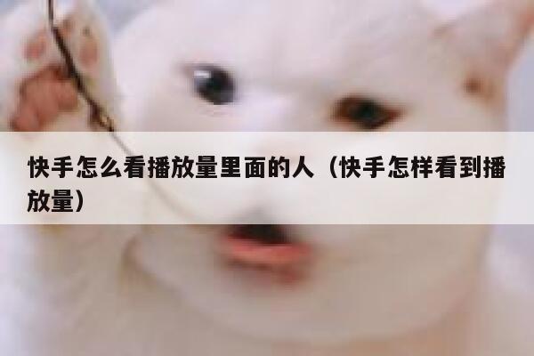 快手怎么看播放量里面的人(快手怎样看到播放量) 第1张 快手怎么看播放量里面的人(快手怎样看到播放量) 第1张