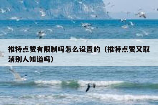 推特点赞有限制吗怎么设置的（推特点赞又取消别人知道吗） 第1张