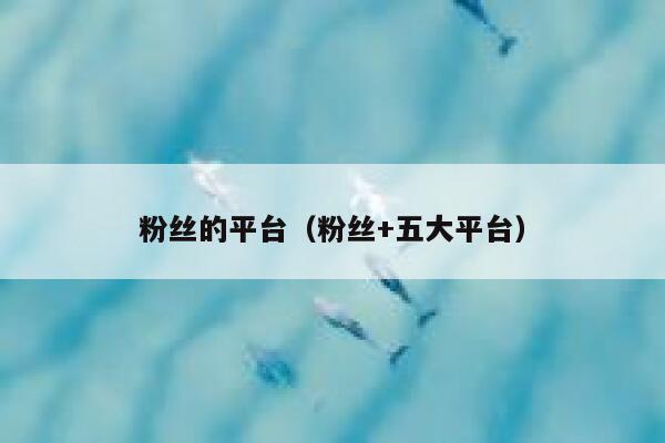 粉丝的平台(粉丝+五大平台) 第1张 粉丝的平台(粉丝+五大平台) 第1张