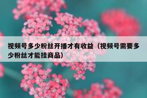 视频号多少粉丝开播才有收益（视频号需要多少粉丝才能挂商品） 第1张