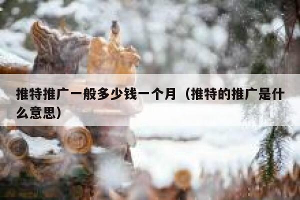 推特推广一般多少钱一个月（推特的推广是什么意思） 第1张