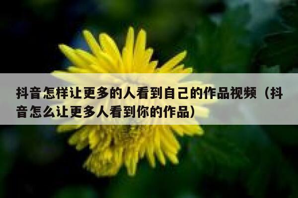 抖音怎样让更多的人看到自己的作品视频(抖音怎么让更多人看到你的作品) 第1张 抖音怎样让更多的人看到自己的作品视频(抖音怎么让更多人看到你的作品) 第1张